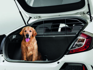 honda-civic-type-r-dog-guard