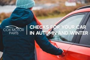 Checks for your car in Autumn and Winter